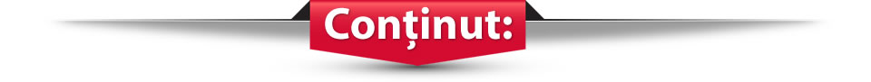 continut